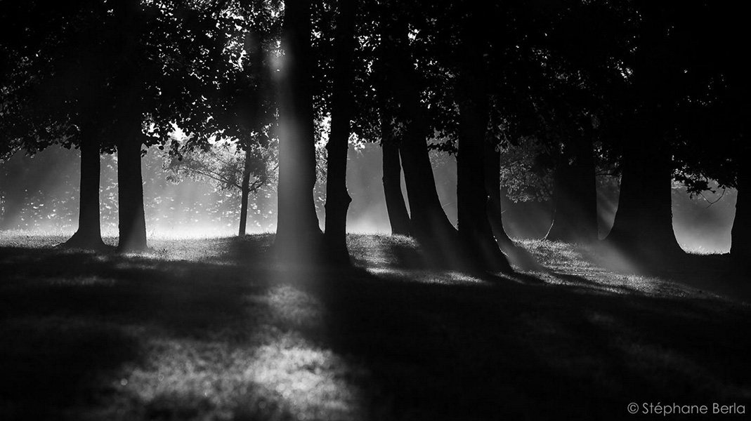 Photo de Stephane Berla
