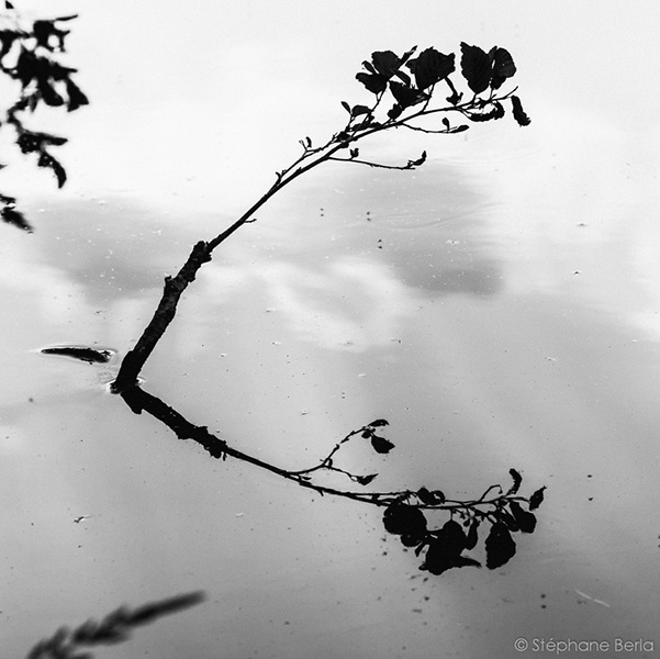 Photo de Stephane Berla