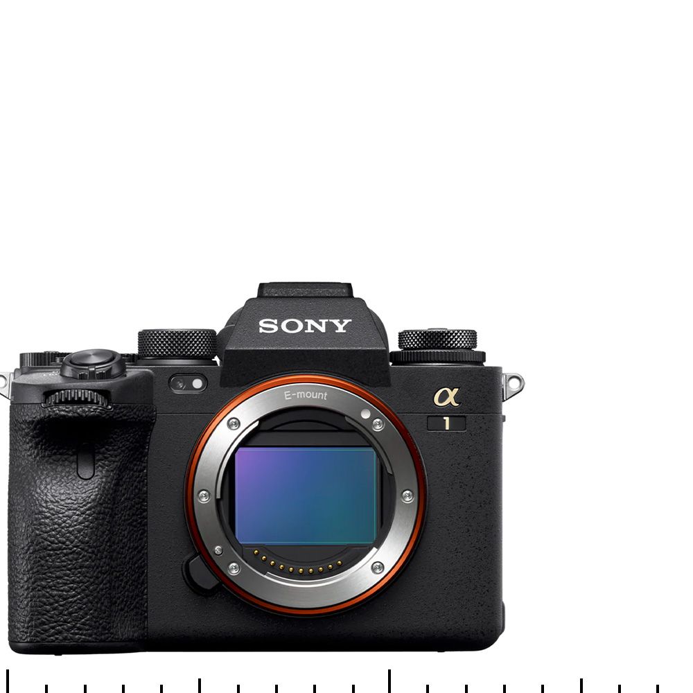 Sony α1 : photo du produit