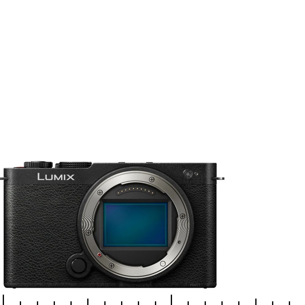 Panasonic Lumix S9